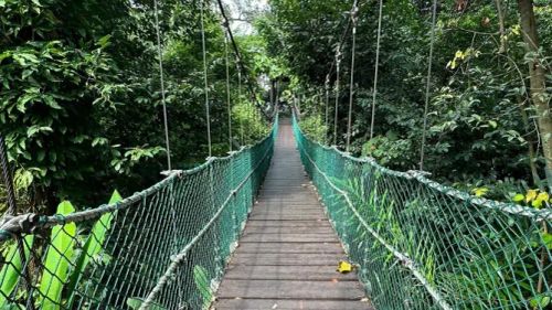 Taman Eko-Rimba Kuala Lumpur (TERKL)