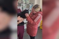 NI family’s joy after cat who was missing for four years is found more than 200 miles away | BelfastTelegraph.co.uk