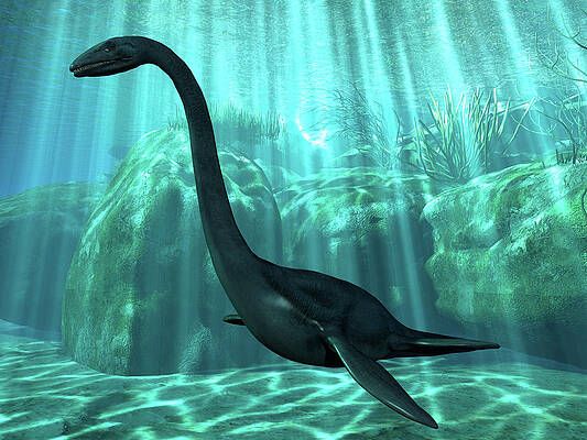 Elasmosaurus