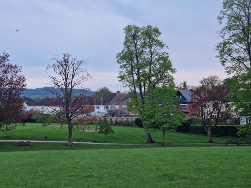 The Trees of Hatherley Park
