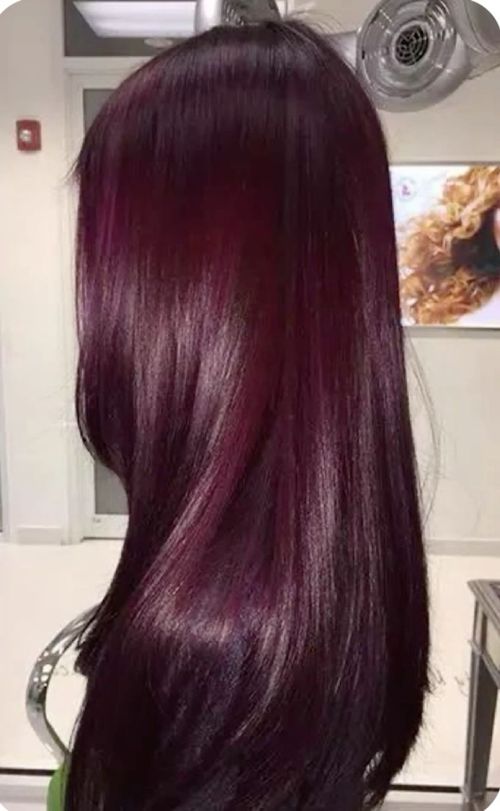 Cherry Wine Red Hair Color, Red Hair Wine, Hair Color Dark Purple, Dark Color Hair Dye, Hair Color Violet, Plum Color Hair, Hair Color Dark Red, Hair Color Cherry Red, Purple Burgundy