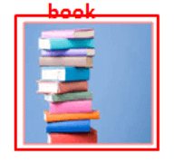 PyTorch Image Classification output 1