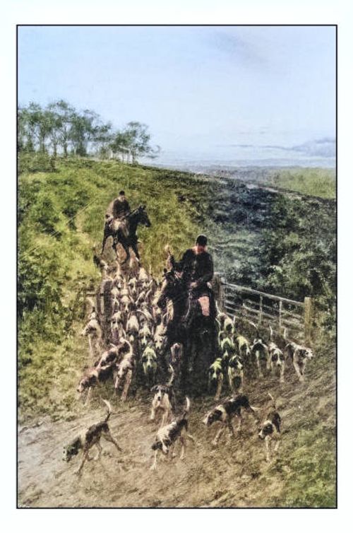 antique photo of paintings: fox hunt - fox hunt stock illustrations