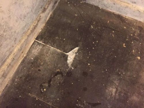 Asbestos floor tiles within kitchen