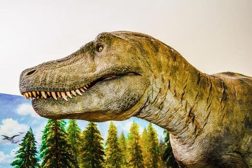 Tyrannosaurus rex Dinosaur Statue in the garden park - Raptor Dinosaur photo