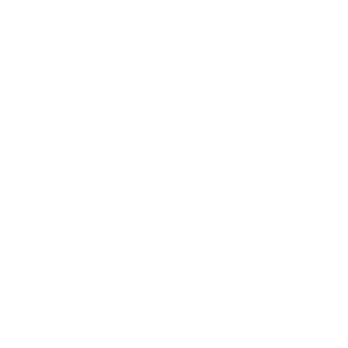 platform ico windows
