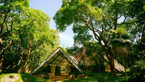 Jardín Botánico Nacional de Cuba