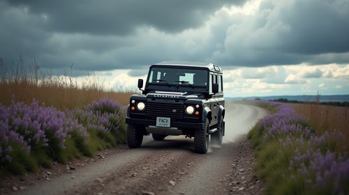 Create your own she image with Canva