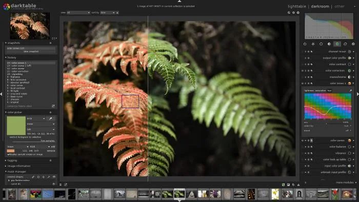 Curso Online de Edición Fotográfica con Lightroom: La Mejor Opción para Mejorar tus Fotos