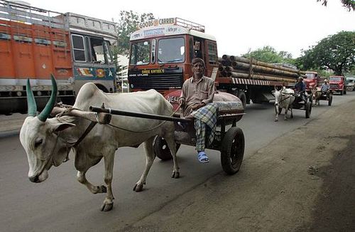 Kerosene bullock-cart transporters make their way to a fuel depot at in central Mumbai, India on Monday, June 5, 2006. India, Asia's fourth-largest...