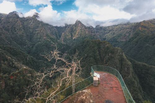 Forest path for the PR11 levada walk