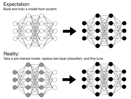 Expectation vs. reality: In practice, only a few people train neural networks from scratch for image classification