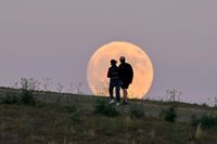 Full Moon September 2026: Exactly When To See The ‘Harvest Moon’ Rise - Forbes