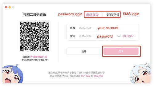 login interface