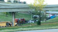 Semi-Truck Rollover Spills Dozens of Cattle Across Downtown Kansas City - The New York Times