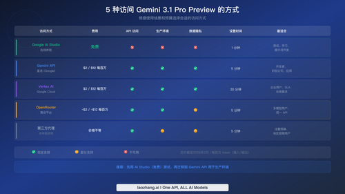 五种 Gemini 3.1 Pro Preview 访问方式的成本、功能和最佳用例对比