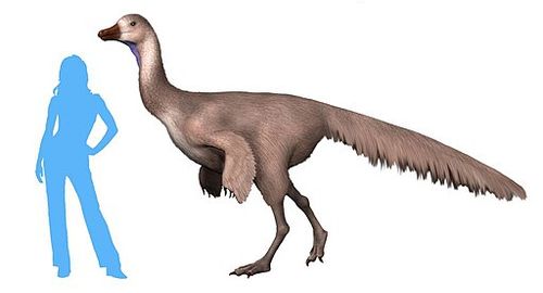 Arkansaurus_NT.jpg