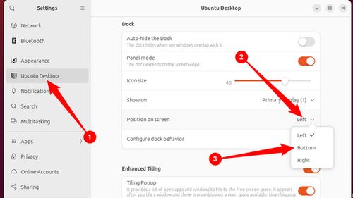 The dock settings in the Ubuntu Desktop tab.