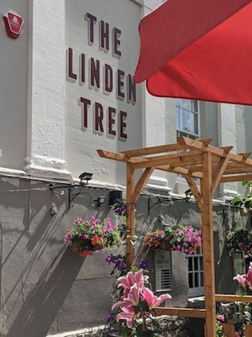 Linden Tree