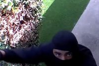 South American 'crime tourists' infiltrate at least half of US states to target the rich: Thefts 'way, way up'