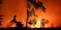 LA Fires Could Get Worse With 'Extreme' Conditions Set to Continue - Business Insider