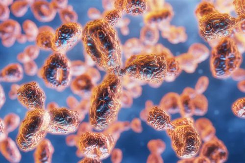 Selman A. Waksman Award in Microbiology