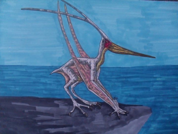 Nyctosaurus