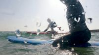 Surfing Videos, Download The BEST Free 4k Stock Video Footage & Surfing HD Video Clips