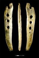 Rope, twine and thread: Invisible technologies of the Stone Age - Phys.org
