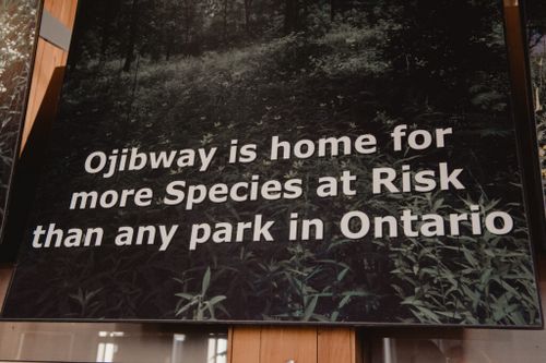 Ojibway Nature Centre