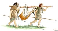 Rare traces of wooden tools reveal Neanderthals were skilled woodworkers - Phys.org