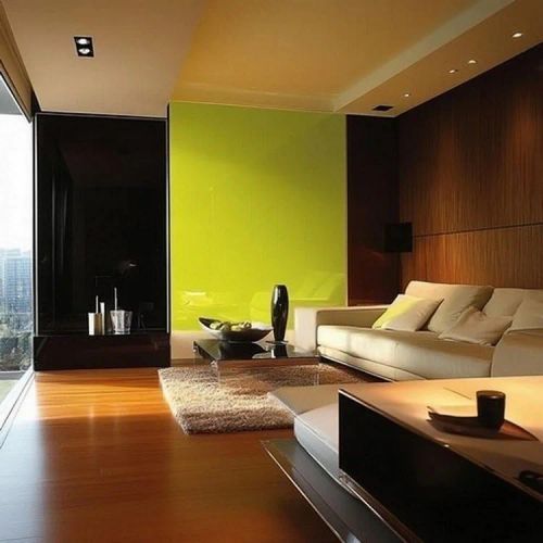 Modern Lime Green and Chocolate- Two Colour Combination for Hall
