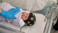 Are Babies Conscious? - The New York Times
