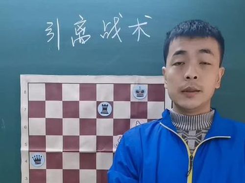 #国际象棋 #chess 简介引离战术
