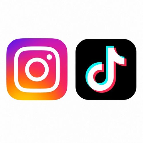 GIVE ME INSTA AND TIKTOK LOGO VECTOR