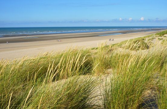 Dune de Perroquet in Bray Dunes France
