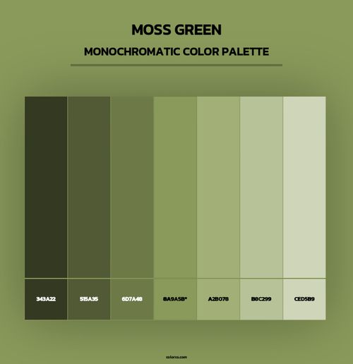 Moss Green - Monochromatic Color Palette