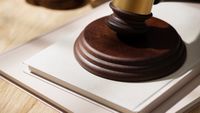 Tribunal do Porto decide guarda de cadela em processo de divórcio