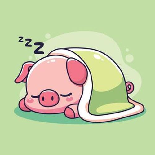 Cute cartoon pig sleeping . illustration. vector