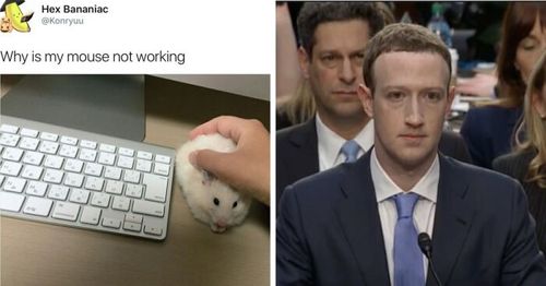 I Spent Over One Year Filling My Meme Collection With The Best Of The Best, And Here Are The Top 20