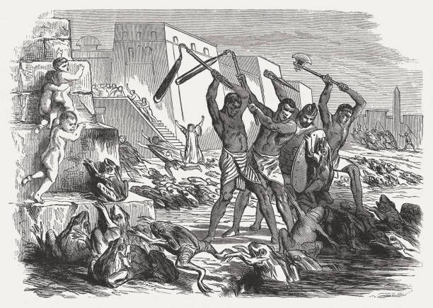 plague of frogs (exodus 7-8), wood engraving, published in 1886 - plagues of egypt stock illustrations
