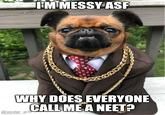 I'M MESSY ASF WHY DOES EVERYONE CALL ME A NEET? @mister grifffalse