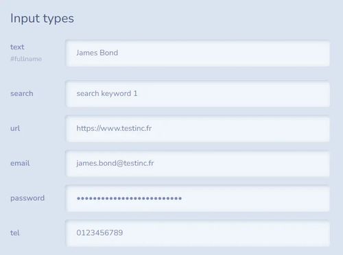 An example of cues in a form.