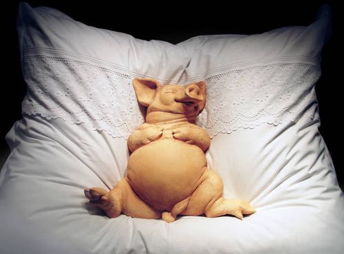 happy pig - pig bed stock pictures, royalty-free photos & images