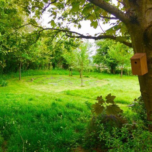 Contemplation Garden