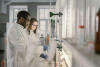 Survey of young researchers raises concerns over future of science in U.S. - Phys.org