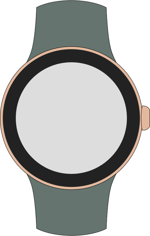 Pixel Watch 3