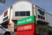 Dollar Tree buys up 99 Cents stores as retail giant looks to make up for closures | The Independent
