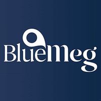 BlueMeg - Corporate Services Review