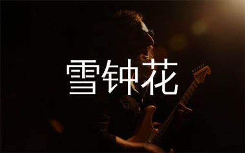 雪钟花吉他谱_汪峰_G调弹唱六线谱_生产队上传